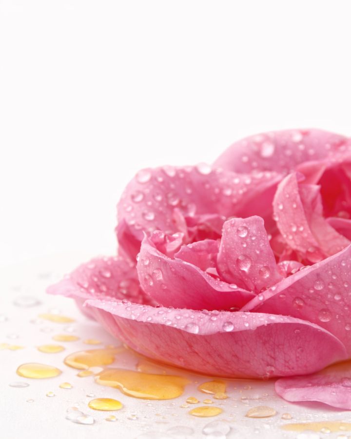 Revitalizing Rose - Image 4