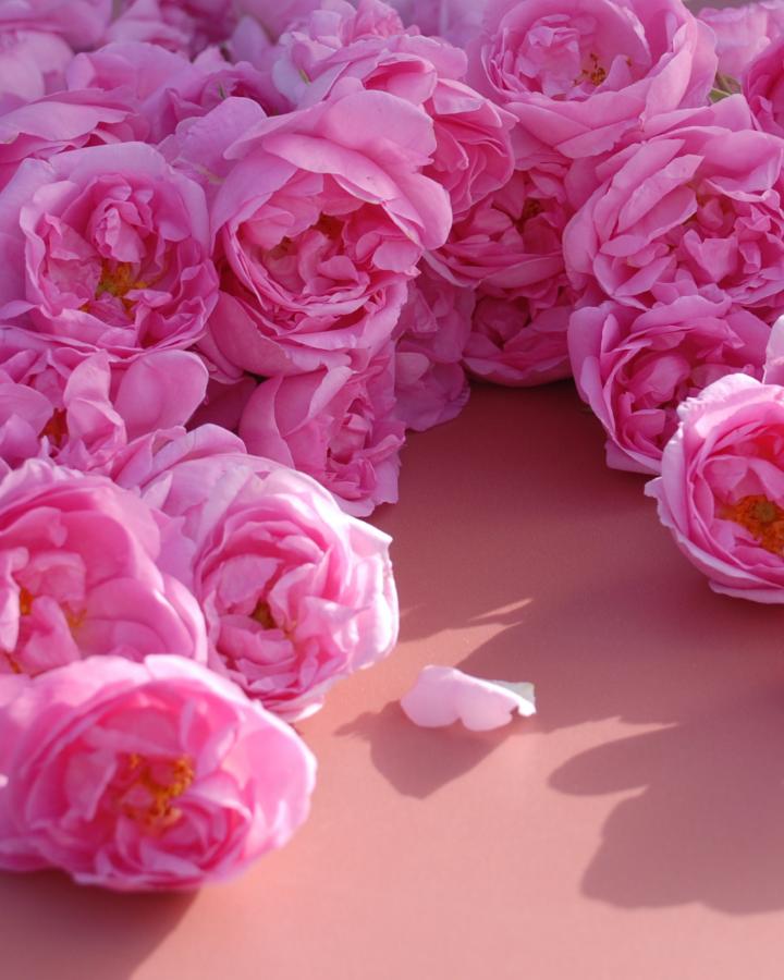Rose Water - Görsel 3